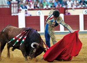 西班牙斗牛节的争议：文化传统与道德考量的平衡