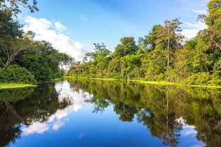 亚马逊雨林的生态之旅
