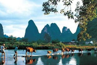 桂林山水风光中的著名景点