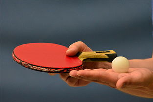 乒乓球运动的协调性包括