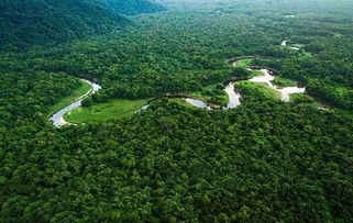 亚马逊雨林环境