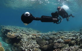 大堡礁的潜水体验在哪里