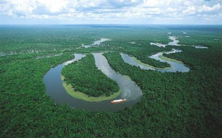 亚马逊雨林环境资料
