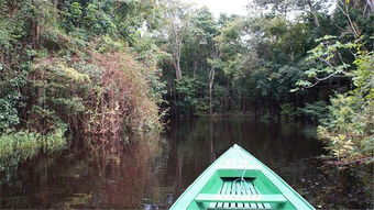 亚马逊丛林历险记