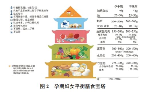 孕期营养指南 中国营养学会