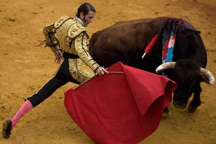 西班牙斗牛传统文化