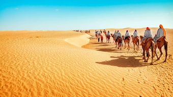 撒哈拉沙漠旅行路线
